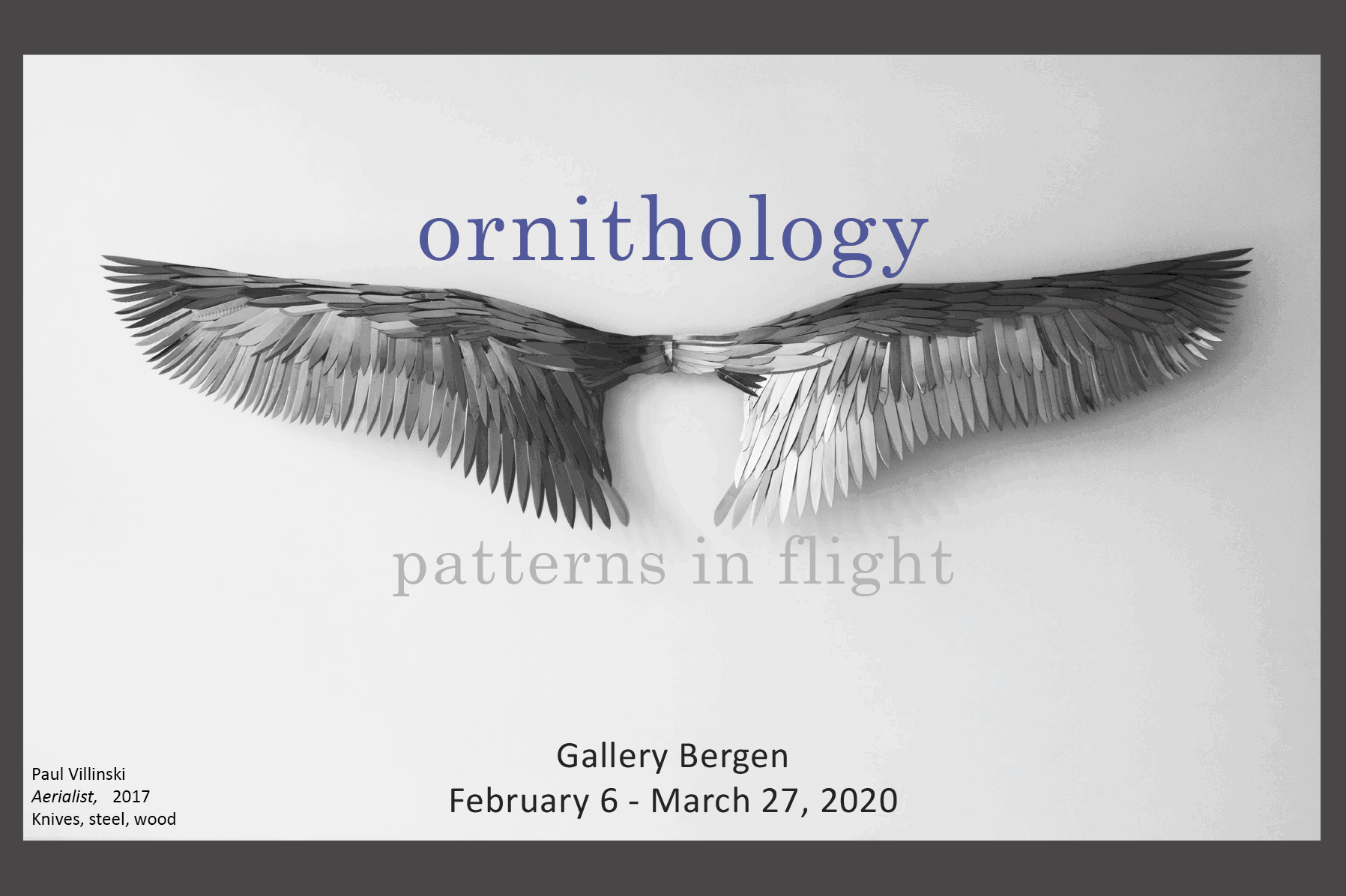 Ornithology: Patterns in Flight